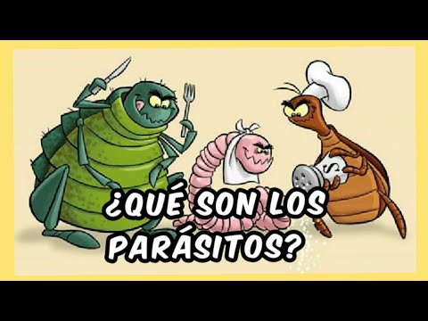 Video: ¿Quién es el parásito facultativo?