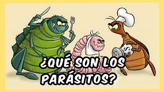 La Clasificación De Los Parásitos | #parásitos La Clasificación De Los Parásitos | #parásitos