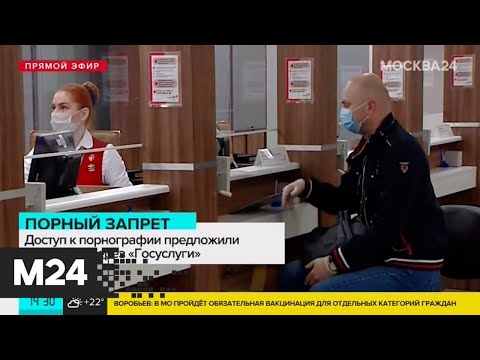 Доступ к порносайтам предложили легализовать через Госуслуги - Москва 24