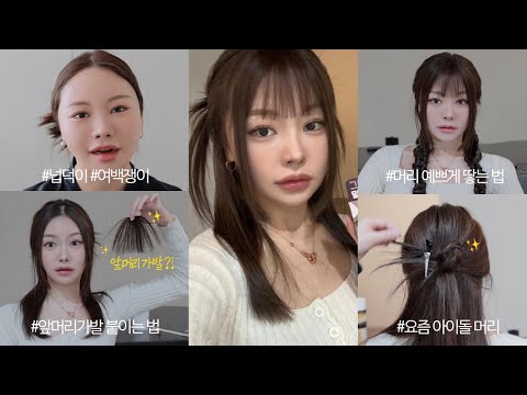 청담샵 헤어쌤이 알려주는 요즘 유행하는 헤어스타일링 꿀팁 대공개🌟 | 넙덕이들을 위한 커버, 앞머리가발 붙이는 법, 뉴진스 머리, 똥머리 묶는 법, 고데기X