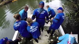 SeaWorld Rescues Two Manatee in Alabama
