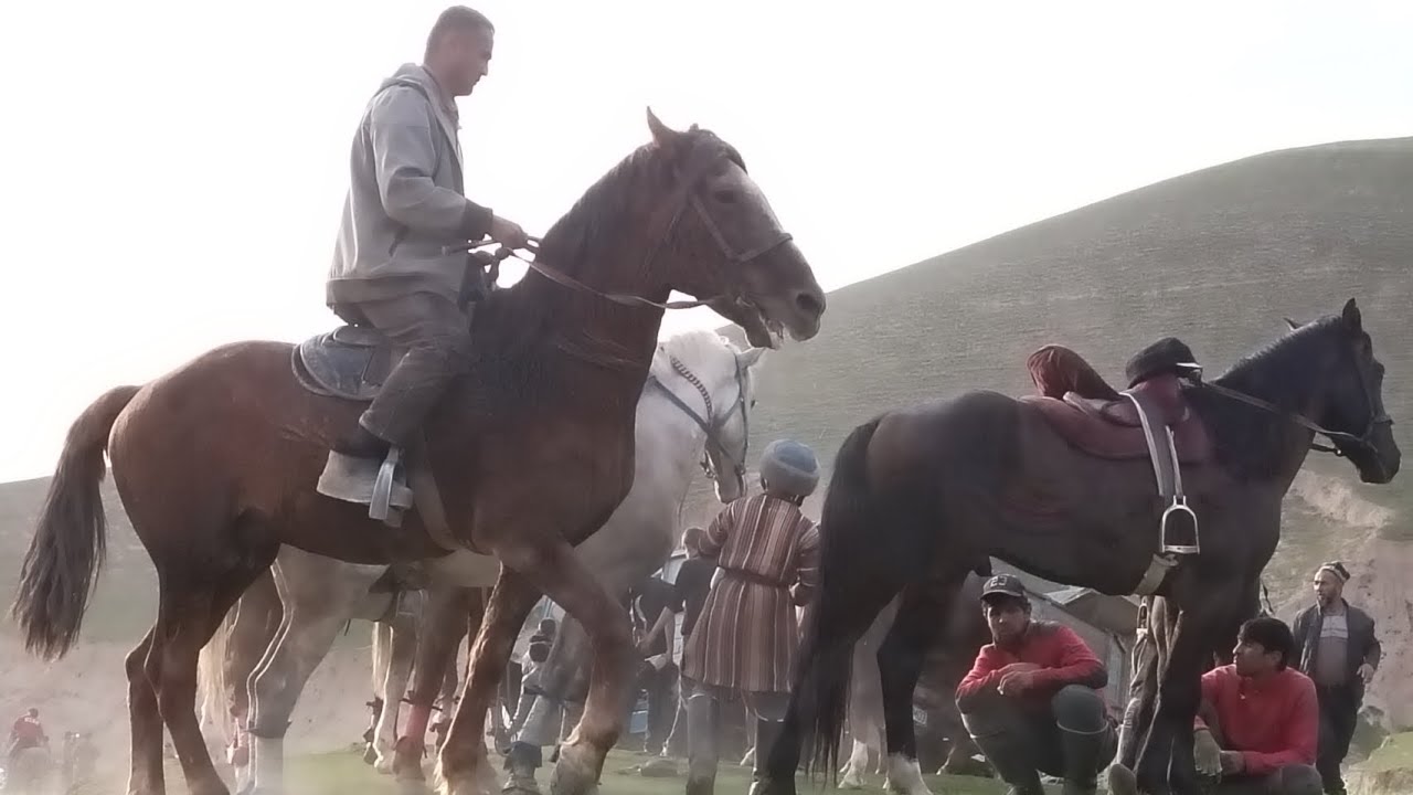 Бузкаши дар Хамадони (Саркокул) 23.02.2025