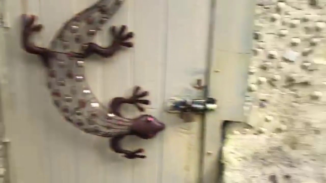 FOR SALE COLWYN AVENUE, WINCH WEN, SWANSEA, SA1 7EL YouTube