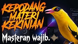 KEPODANG GACOR FULL MATERI ISIAN MASTERAN WAJIB KEPODANG AGAR CEPAT GACOR