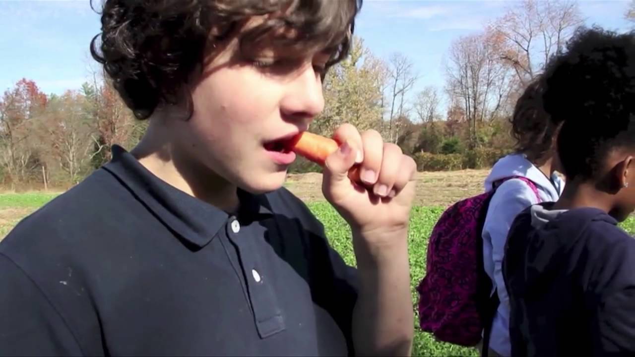 Cápsula Informativa del Condado de Montgomery Episode 326 July 22, 2016