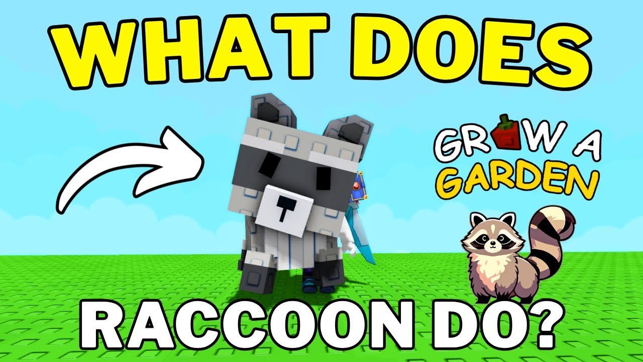 How To Use Raccoon in Grow a Garden | What Does Raccoon Do in Grow A ...