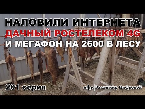 Наловили интернета! Дачный Ростелеком 4G и Мегафон на 2600 в лесу | Владимир Цифровой | 201 серия