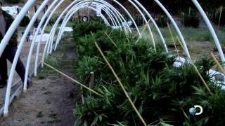 Weed Country - Season Finale Exclusive - 420 Magazine