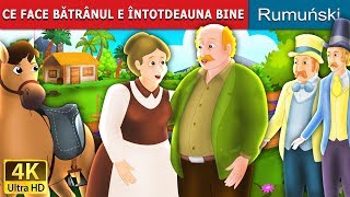 CE FACE BĂTRÂNUL E ÎNTOTDEAUNA BINE | Povesti pentru copii | Romanian Fairy Tales