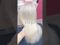 #화이트블론드 #화이트염색 #백모염색 #백모 #백금발뿌리탈색 #백금발 #백모탈색 #탈색전문 #탈색잘하는곳 #탈색머리 #탈색염색 #로제머리 #금발 #보색샴푸 #블랙빼기 #레드빼기