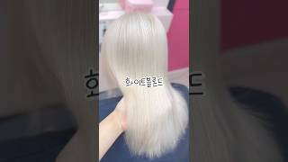 #화이트블론드 #화이트염색 #백모염색 #백모 #백금발뿌리탈색 #백금발 #백모탈색 #탈색전문 #탈색잘하는곳 #탈색머리 #탈색염색 #로제머리 #금발 #보색샴푸 #블랙빼기 #레드빼기