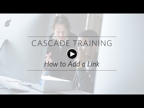 Cascade Training 6: