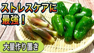 炒め物（ピーマンとみょうがのおかか炒め）｜管理栄養士:関口絢子のウェルネスキッチンさんのレシピ書き起こし