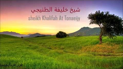 شيخ خليفة الطنيجي سورة يوسف12