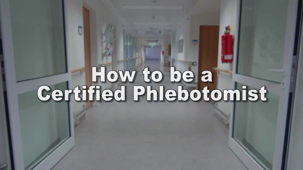 a Certified Phlebotomist YouTube
