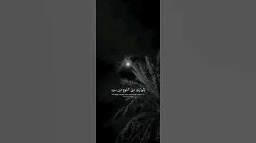 قرآن كريم ✨⚜️راحة نفسية🍁🩹سورة(النحل) 📿🦋القارئ: عبد الرحمن مسعد🟩🖤