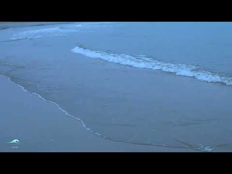 Fall Asleep to Gentle Ocean Waves | Natural Beach Ambience for Relaxation