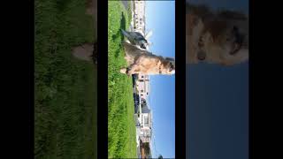 GoPro’s anamorphic lens is a fun addition to your Hero13.