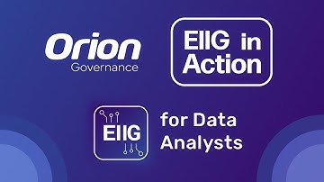 How Data Analysts Use Orion Governance’s EIIG to Succeed
