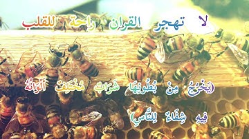 سورة النحل تلاوة جميلة تريح القلب لقارئ الشيخ هزاع البلوشي
