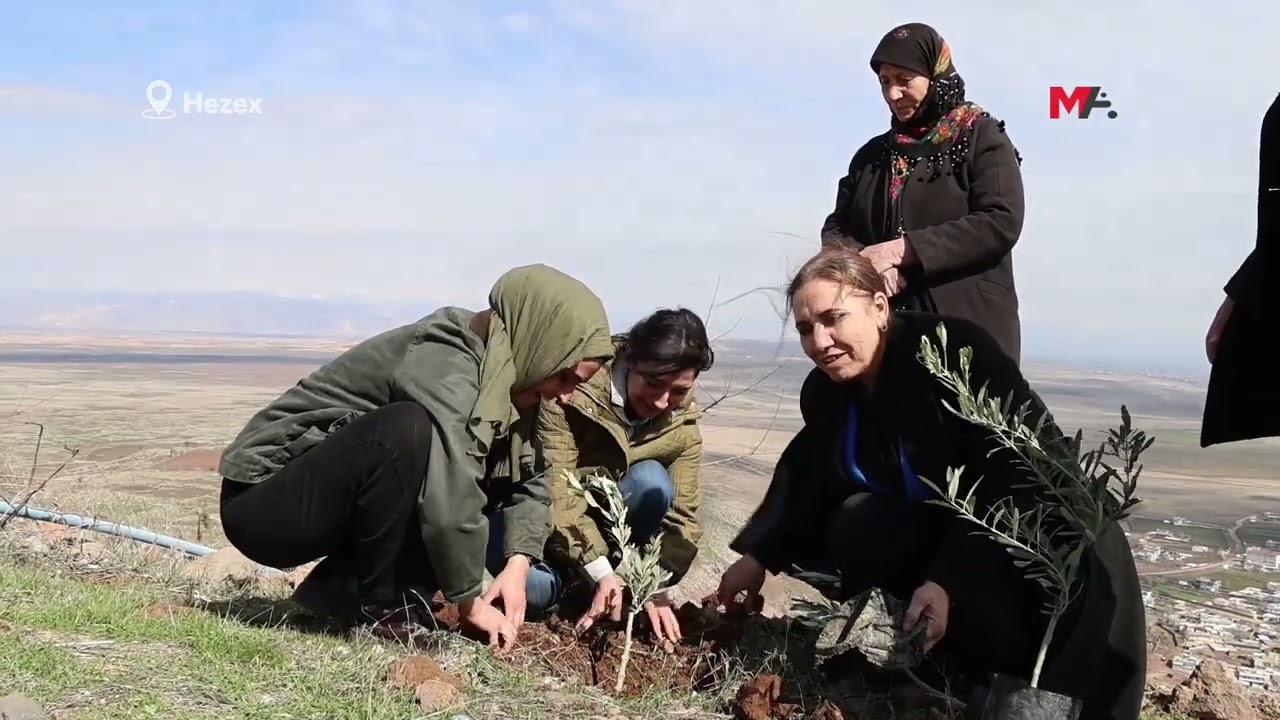 TJA'YÊ LI HEZEXÊ 'BEXÇEYA JINAN' ÇÊKİR