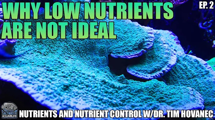 Why LOW NUTRIENTS Aren't Ideal For Your Aquarium  - Nutrients and Nutrient Control w/Dr. Tim Hovanec