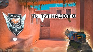 :   ! /   