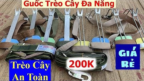 Báo giá công khai | 4 mẫu guốc trèo cây | dụng cụ trèo cây | dây đai an toàn giá rẻ bán chạy nhất