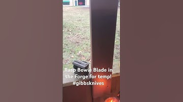 Forging a new Rasp Blade Bowie ! #gibbsknives www.Gibbsarchery.com