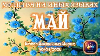  Praying In Other Tongues For The Month Of May 