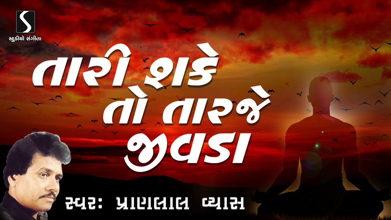 Tari Sake To Taraje Jivada | Pranlal Vyas | Gujarati Devotional Song | Prachin Bhajan