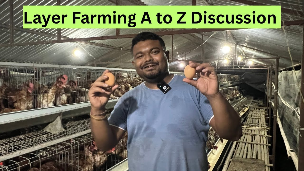 Layer Farming Information A to Z / Layer Poultry Farm Business Plan