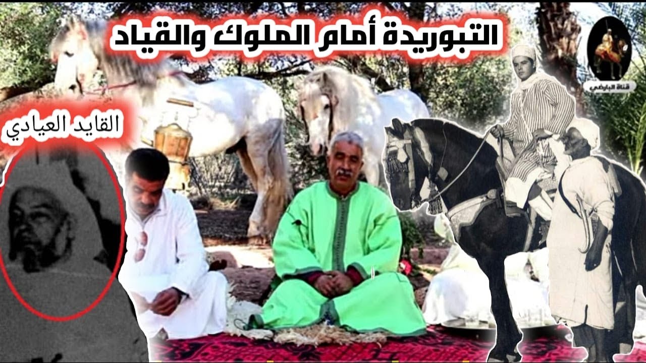 الحلقة 3:قصة أسطورة الحوز في فن التبوريدة ،أحداث شيقة و وقائع مثيرة