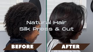 Natural Hair Silk Press & Cut