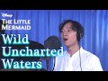 Wild Uncharted Waters(まだ見ぬ世界へ) covered by 山崎聡一郎 / ディズニー映画「リトルマーメイド(2023)」より