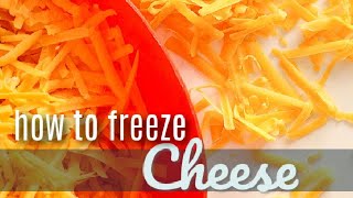 How To Freeze Cheese (The RIGHT Way)