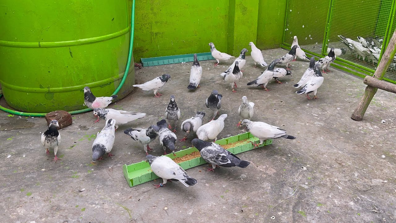 Ek Bacha Tha Woh Bhi Chala Gya 😔