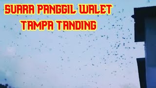 SUARA PANGGIL!!! WALET TAMPA TANDING