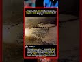 The Tragic End of a Crocodile: Maggots Feeding on a Dying Predator#foryou #fyp #animals #funny