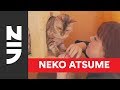 Neko Atsume Kitty Collector Haiku: Seasons of the Kitty - Scorching Day