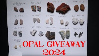 What are Your Goals for the Year? Roys Rocks First Giveaway of 2024.