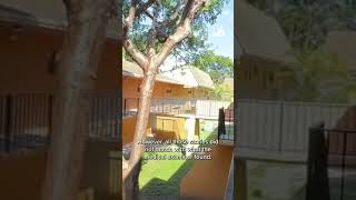 Miami-Dade mom arrested in 2024 death of 9-month-old who ingested meth, cocaine