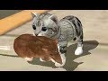 СИМУЛЯТОР Маленького КОТЕНКА #1 Cat Sim Online - Новая игра с Кидом на канале пурумчата