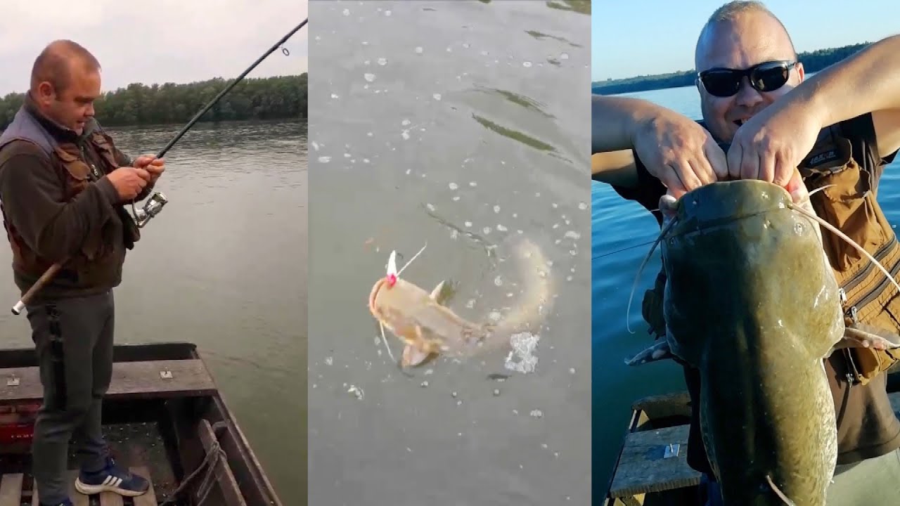 Pecanje smuđa i soma na Dunavu kod Apatina - Varaličarenje | Fishing zander catfish
