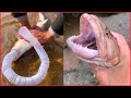 Catching Seafood 🦐🦀 Deep Sea Octopus (Catch Crab, Catch Fish) - Tik Tok #14