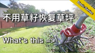 不撒草籽也能修复草坪  八分钟方法、工具、注意事项  How to make your lawn spread  | KK和Kathy 的后花园