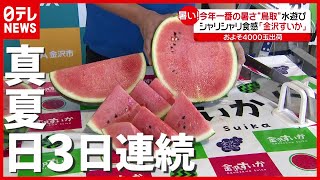 約４０００玉の「金沢すいか」が初出荷…東京で３日連続“真夏日”（2021年6月10日放送「news every.」より）