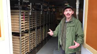 Fish Eggs To Fry 2020 Clackamas Hatchery Tour with Biologist