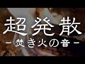【超発散】５分見るだけで驚くほどストレスが無くなっていく焚き火の動画【ストレス解消】