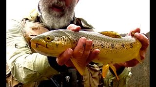 SPRINGTIME FLY FISHING FOR WILD TROUT-EARLY RISERS with Chris Walklet